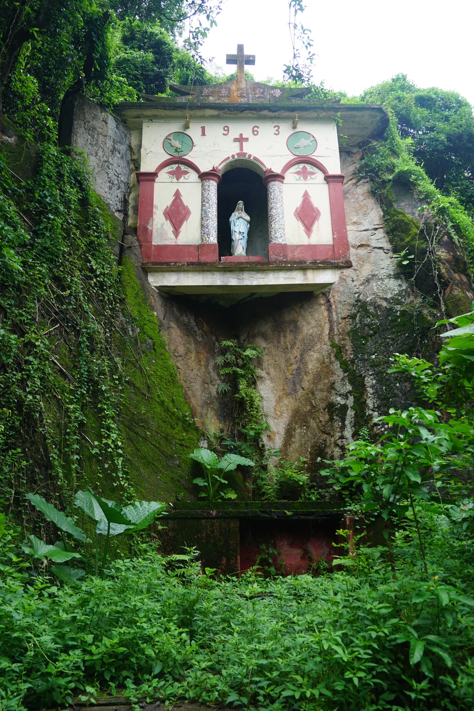 Image 4